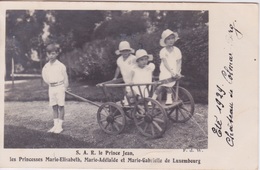 CARTE PHOTO - FAMILLE ROYAL GRAND DUCALE - LES ENFANTS GRAND DUCAUX -  CHATEAU  DE COLMAR BERG ÉTÉ 1929 - Grossherzogliche Familie