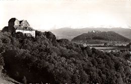 Schloss Wildegg - Wildegg