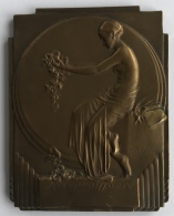 Médaille - Plaquette En Bronze Art Nouveau. A. Mauquoy. Reconnaissance. Union Professionnelle Des Opticiens. 60 X 80mm - Professionals / Firms