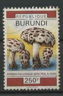 250F  Champignon Ø  Avec Pli Marqué - Used Stamps