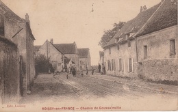 18 / 2 / 390  -    ROISSY  EN  FRANCE  ( 95 )  CHEMIN  DE GOUSSAINVILLE - Roissy En France