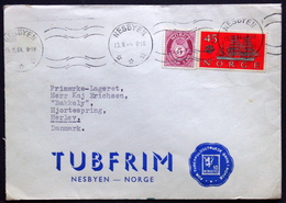 Norway 1964   Letter  To Denmark ( Lot 1807 ) NESBYEN - Briefe U. Dokumente