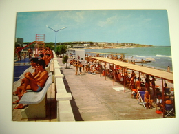 MOLFETTA  LIDO ALGA  MARINA  PISCINA    FONDO NEGOZIO    VECCHIE CARTOLINE  PUGLIA   NON VIAGGIATA - Molfetta