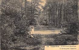 Cappellen. - Zicht In De Bosschen. -  F. Hoelen, Phot. Cappellen. - Kapellen