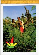 44920 GANJA PICHERS - Azerbeidzjan