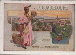 Billet De Satisfaction/Décerné à L'Eléve Pour Sa Bonne Conduite & Son Travail/GUADELOUPE//Début XX Siécle IMA415 - Other & Unclassified