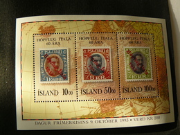 1993  VERY BEAUTY POSTAGES STAMPS OF  ISLANDA  ...............////.....BEL FOGLIETTO DELL'ISLANDA DEL 1993 - Blocks & Sheetlets