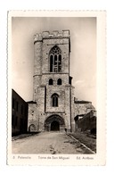 ESPAGNE . PALENCIA . TORRE DE SAN MIGUEL - Réf. N°7589 - - Palencia