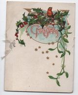 Carte De Noël / CHRISTMAS/ Lithographie/Rossignol - Houx Et Gui//Anglaise/Vers 1900    CVE141 - Neujahr