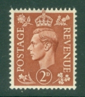 G.B.: 1950/52   KGVI    SG506   2d    Pale Red-brown    MNH - Ongebruikt