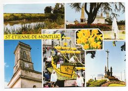 SAINT ETIENNE DE MONTLUC--Multivues  (monument Aux Morts,église,calvaire,marais,fête) - Saint Etienne De Montluc