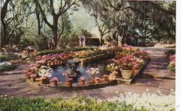 Alabama Mobile The Fountain And Pool In Main Courtyard Bellingrath Gardens - Mobile