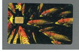 DANIMARCA (DENMARK)  - 1997 FISHES    - USED ° - RIF. 10059 - Poissons