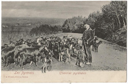 Les Pyrénées Chevrier Pyrénéen - Bearn