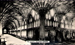 The Cloysters - Gloucester Cathedral - Gloucester