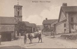 Burtigny - Rue Du Village (vache En Gros Plan) - Burtigny