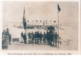 1664   FOTO     REPRO  GERNSHEIM  15 X 10 CM - Griesheim