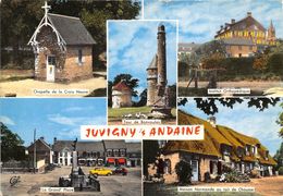 61-JUVIGNY-SUR-ANDAINE- MULTIVUES - Juvigny Sous Andaine