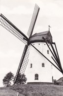 Hoeke (Damme) Molen, Moulin, Windmill (pk45119) - Damme