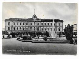 CAMPOBASSO - PIAZZA MUNICIPIO - VIAGGIATA FG - Campobasso