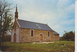 D56 - PLUVIGNER - LA CHAPELLE SAINT GUËNAËL - CPSM Grand Format - Pluvigner