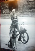 Brigitte Bardot SOLEX VELOSOLEX Poster Signé Signed Dedicace BROMFIETS 60 JAAr Revue Photo - Altri & Non Classificati