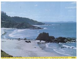 (400) Australia - (with Stamp At  Back Of Card) NSW - Port Macquarie - Port Macquarie