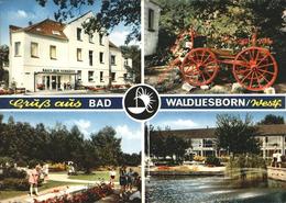 41235296 Bad Waldliesborn Stadtwappen, Minigolf Bad Waldliesborn - Lippstadt