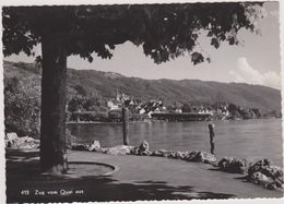 SUISSE,HELVETIA,SWISS,SWI TZERLAND,SVIZZERA,SCHWEIZ ,ZOUG,ZUG,QUAI,ARBRE,BORD DE L 'EAU - Zugo