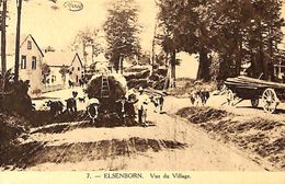 Elsenborn - Vue Du Village (animée, Attelage Boeufs, Marco) - Elsenborn (camp)