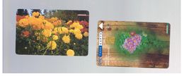 GRECIA (GREECE) -  2003  SPRING: FLOWERS   - USED - RIF.   195 - Seasons