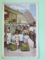 New Zealand 1923 Postcard ""selling River Fish - Panama"" Wellington To England - Commerce - Horses Children - Brieven En Documenten