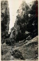 CARTE PHOTO : SERIE TRUYOL MALLORCA ISLAS BALEARES ESPANA - Otros & Sin Clasificación