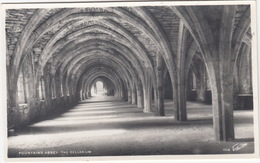 Fountains Abbey - The Cellarium - Harrogate