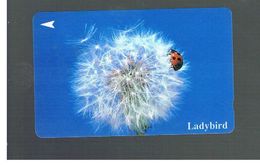 SINGAPORE -  1994   LADYBIRD - USED -   RIF. 10413 - Ladybugs