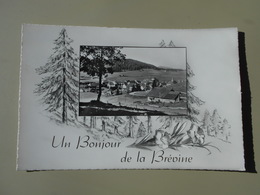 SUISSE NE NEUCHATEL UN BONJOUR DE LA BREVINE - La Brévine