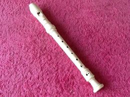 Flûte à Bec Aulos (plastique) - Musical Instruments