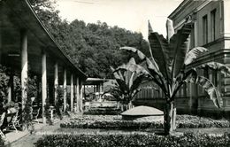 003223 Heilbad Gleichenberg - Partie Am Offenen Wandelgang 1960 - Bad Gleichenberg