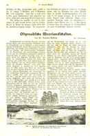 Ostpreußische Moorlandschaften / Artikel, Entnommen Aus Kalender /1909 - Bücherpakete