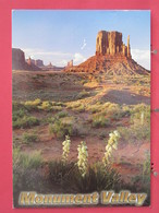 Etats Unis - Arizona Utah - Monument Valley - Mitten Butte With Yucca Plants - Joli Timbre - Scans Recto-verso - Monument Valley