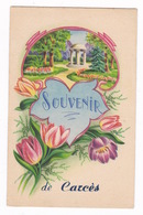 Jolie CP Souvenir Illustrée  Carcès (Var), Années 1950 - Carces