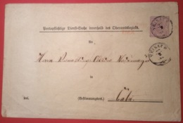 „TEINACH 1882“ R ! FEUSER UNBEK. NACHVERWENDETER STEMPEL Dienst-Ganzsache > Calw (Württemberg Bad Brief - Interi Postali