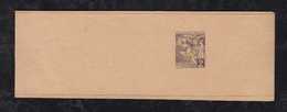 Monaco 1891 Stationery Wrapper MNH - Briefe U. Dokumente