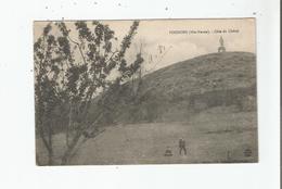 POISSONS (HTE MARNE) COTE DE CHATEL (VIERGE ET HOMMES DANS UN PRE) 1917 - Poissons