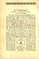 Vom Briefmarkensammeln/ Artikel, Entnommen Aus Kalender / 1907 - Packages
