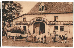 Ferme Bearnaise - Bearn