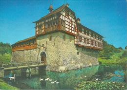 Schloss Hagenwil Bei Amriswil           Ca. 1970 - Amriswil