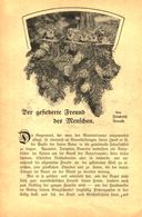 Der Gefiederte Freund Des Menschen / Artikel, Entnommen Aus Kalender / 1907 - Bücherpakete