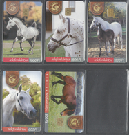 Hungary, Horses, Set Of 5 Cards, 2001-2003. - Chevaux