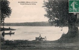 CPA   49   ALLONNES---GRAND ETANG DU BELLAY---1912 - Allonnes